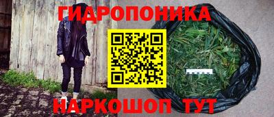 сатива Краснодар