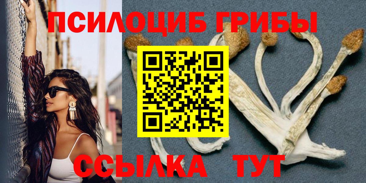 Псилоцибиновые грибы MAGIC MUSHROOMS  Псилоцибиновые грибы Magic Shrooms  Кинешма  Вход с VPN 